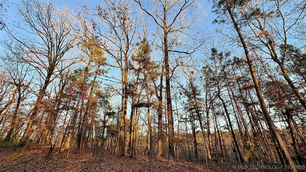 246 Red Fox Trail Kansas, OK 74347