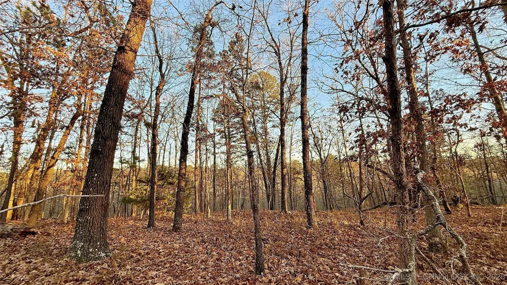 246 Red Fox Trail Kansas, OK 74347