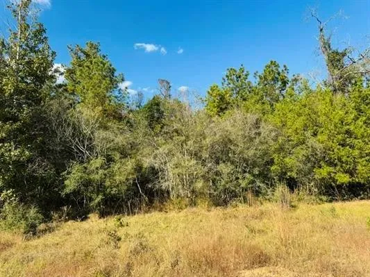 82 Lakeland Loop Hillister, TX 77624