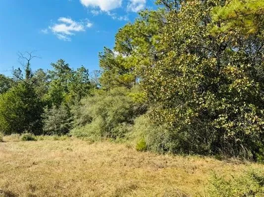 82 Lakeland Loop Hillister, TX 77624