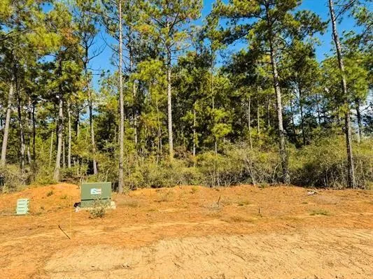 82 Lakeland Loop Hillister, TX 77624
