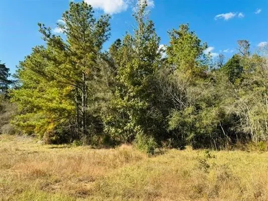 82 Lakeland Loop Hillister, TX 77624