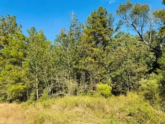 82 Lakeland Loop Hillister, TX 77624