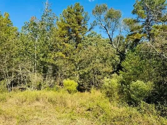 82 Lakeland Loop Hillister, TX 77624