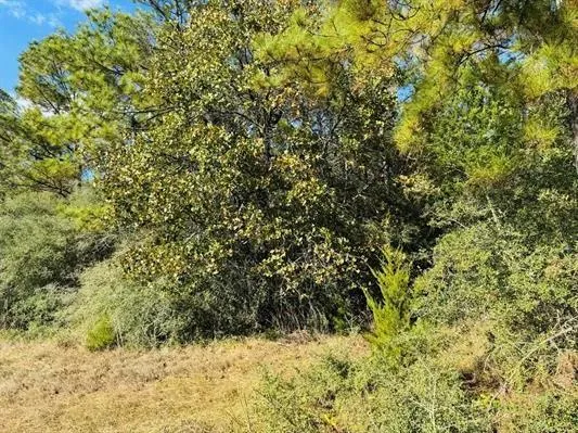 82 Lakeland Loop Hillister, TX 77624