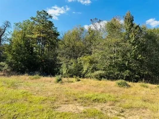 82 Lakeland Loop Hillister, TX 77624