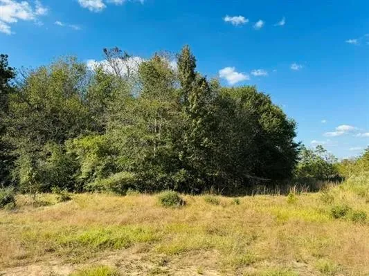 82 Lakeland Loop Hillister, TX 77624