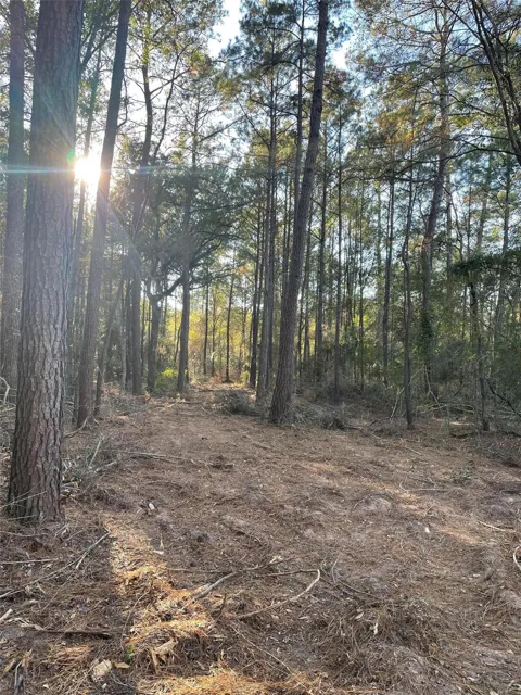 13034 Hackberrry Drive