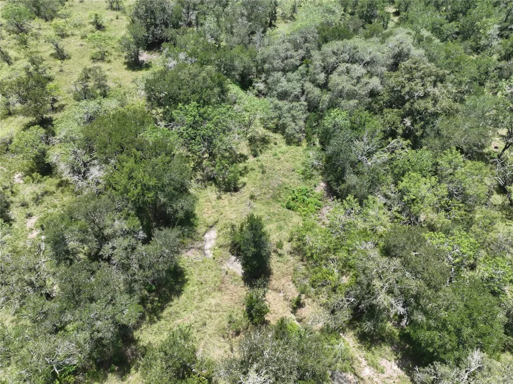 4 County Road 420 Waelder, TX 78959