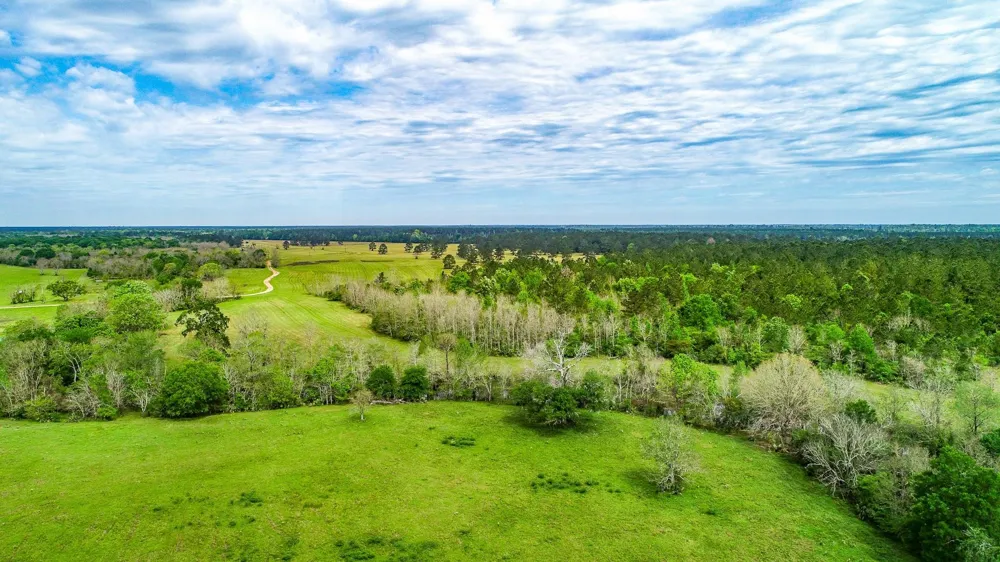 40902 Sh 105 Batson, TX 77519