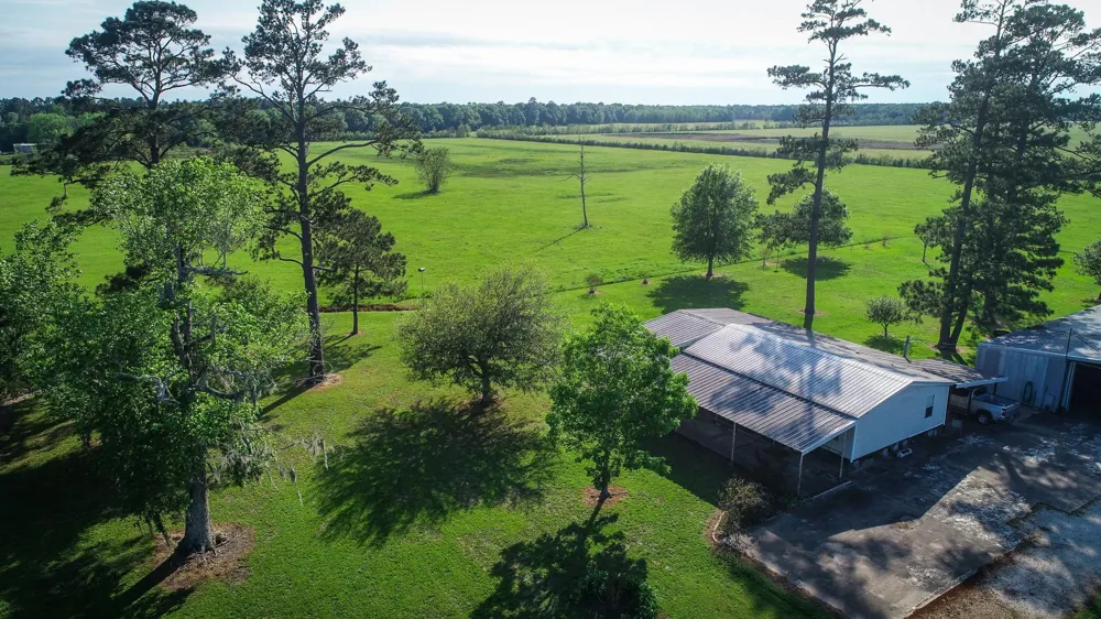 40902 Sh 105 Batson, TX 77519
