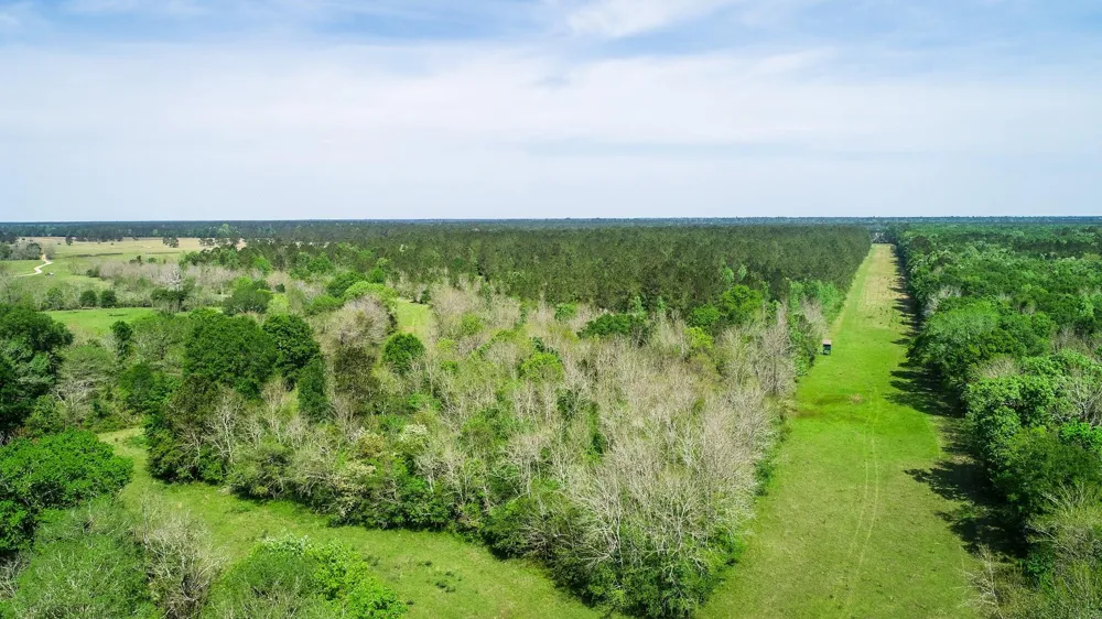 40902 Sh 105 Batson, TX 77519