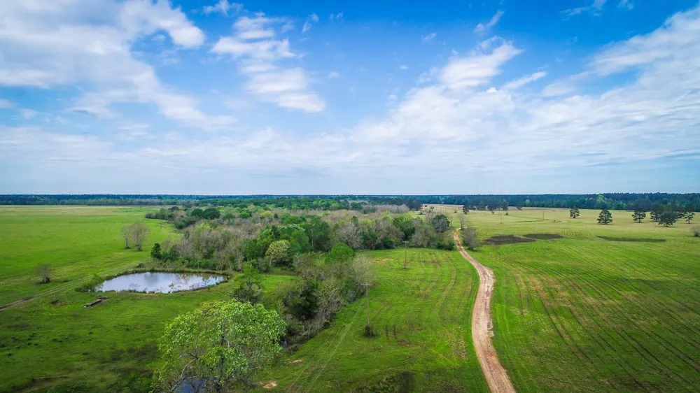 40902 Sh 105 Batson, TX 77519