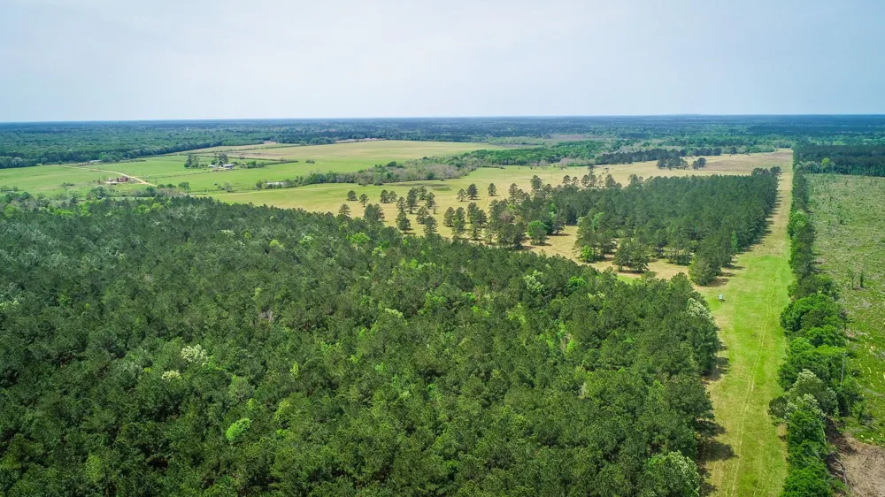 40902 Sh 105 Batson, TX 77519