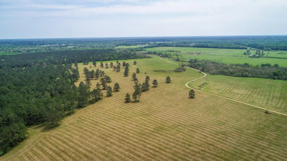40902 Sh 105 Batson, TX 77519