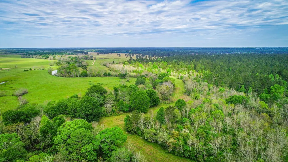 40902 Sh 105 Batson, TX 77519