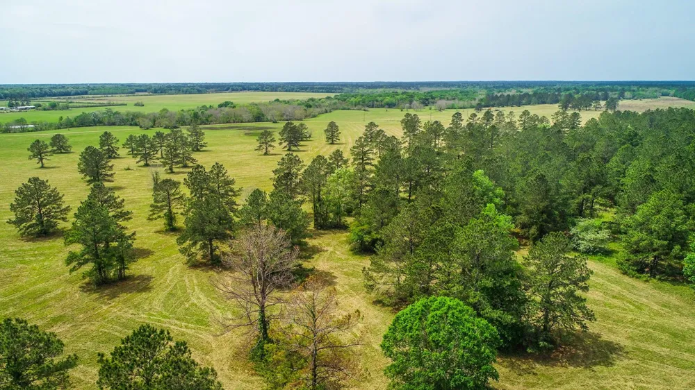 40902 Sh 105 Batson, TX 77519