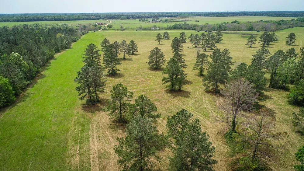 40902 Sh 105 Batson, TX 77519