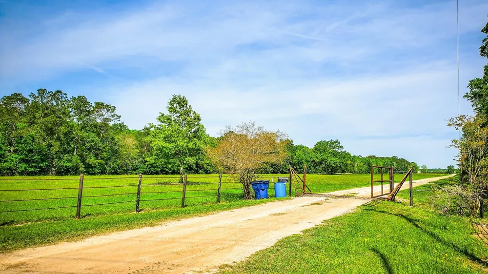 40902 Sh 105 Batson, TX 77519