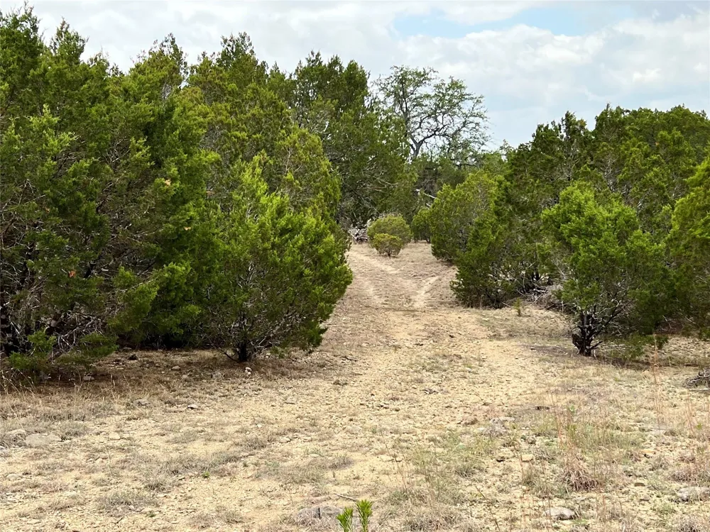 250 County Road 419 Evant, TX 76525