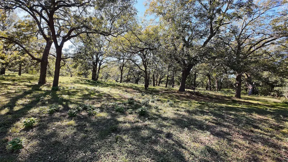 10485 Fm 466 Seguin, TX 78155