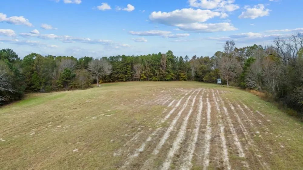 6910 Highway 147 N Center, TX 75935