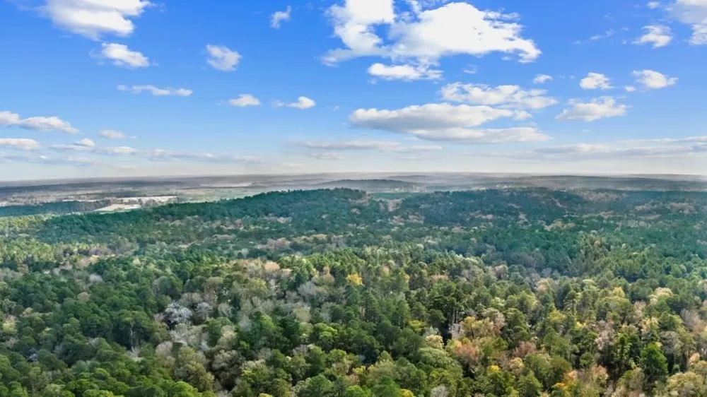 6910 Highway 147 N Center, TX 75935