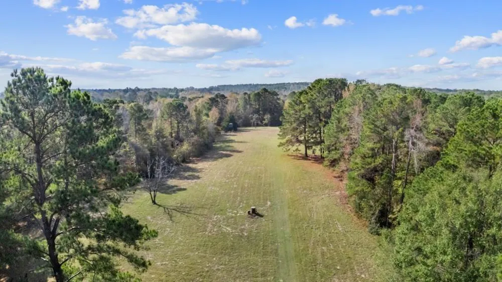 6910 Highway 147 N Center, TX 75935