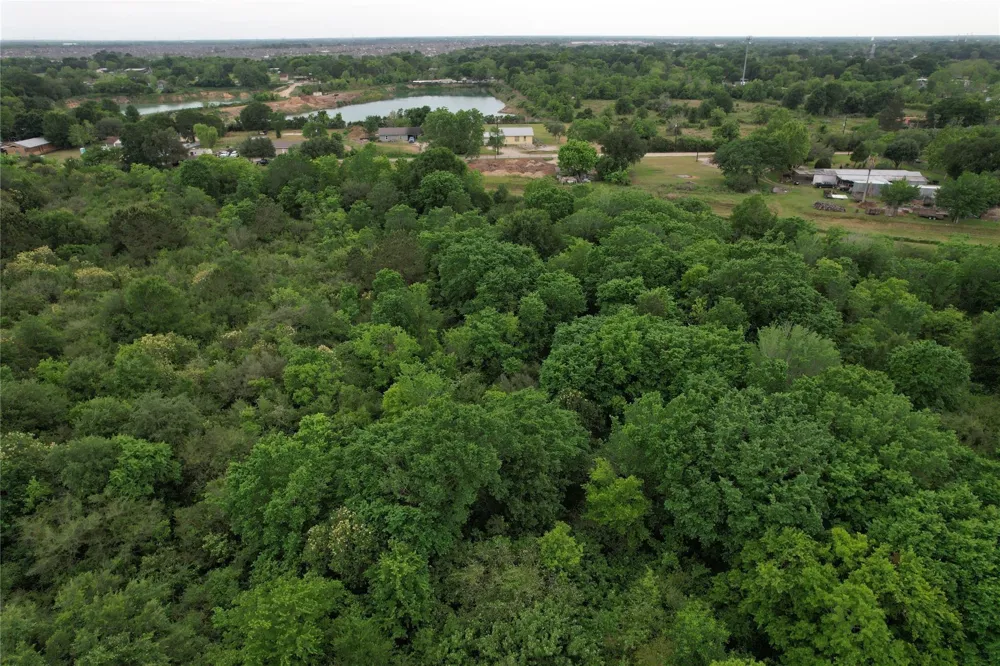 E Jasmine Street Fresno, TX 77545