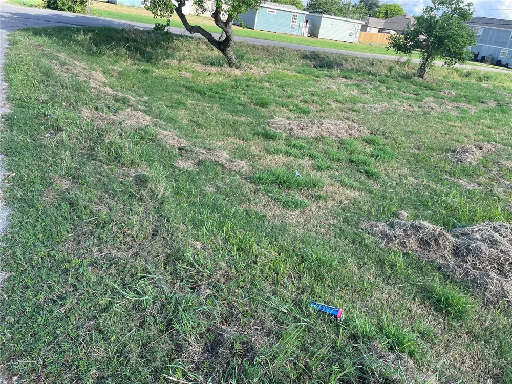 803 W 6th Street Freeport, TX 77541