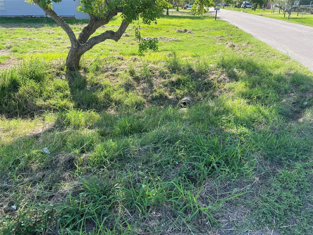 803 W 6th Street Freeport, TX 77541