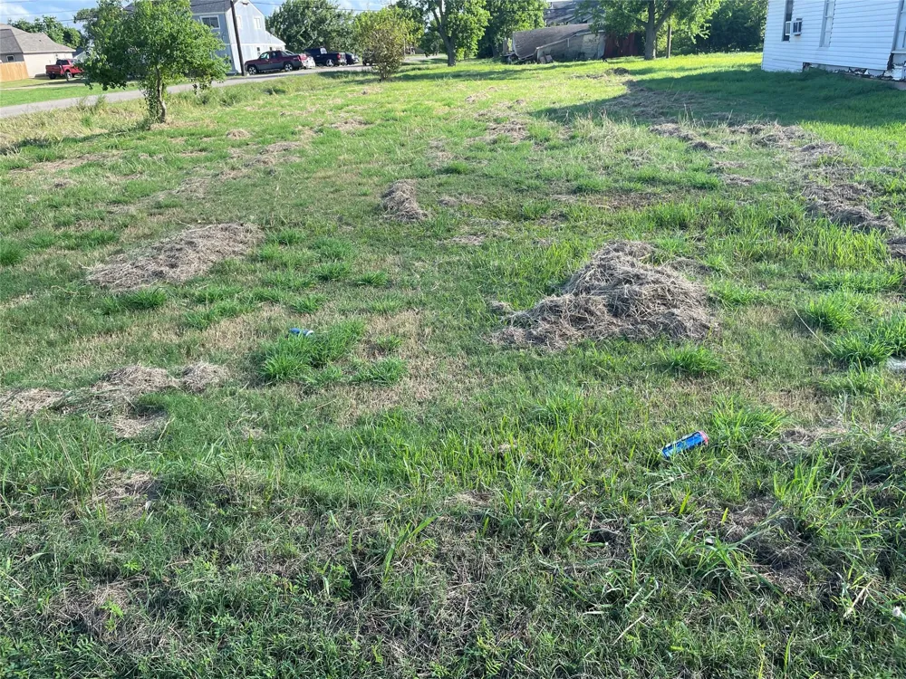 803 W 6th Street Freeport, TX 77541