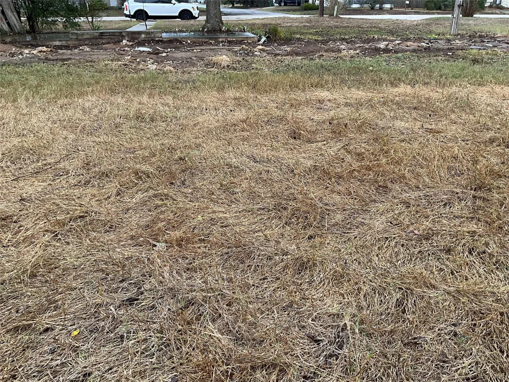 310 Stockdale Street Cuero, TX 77954