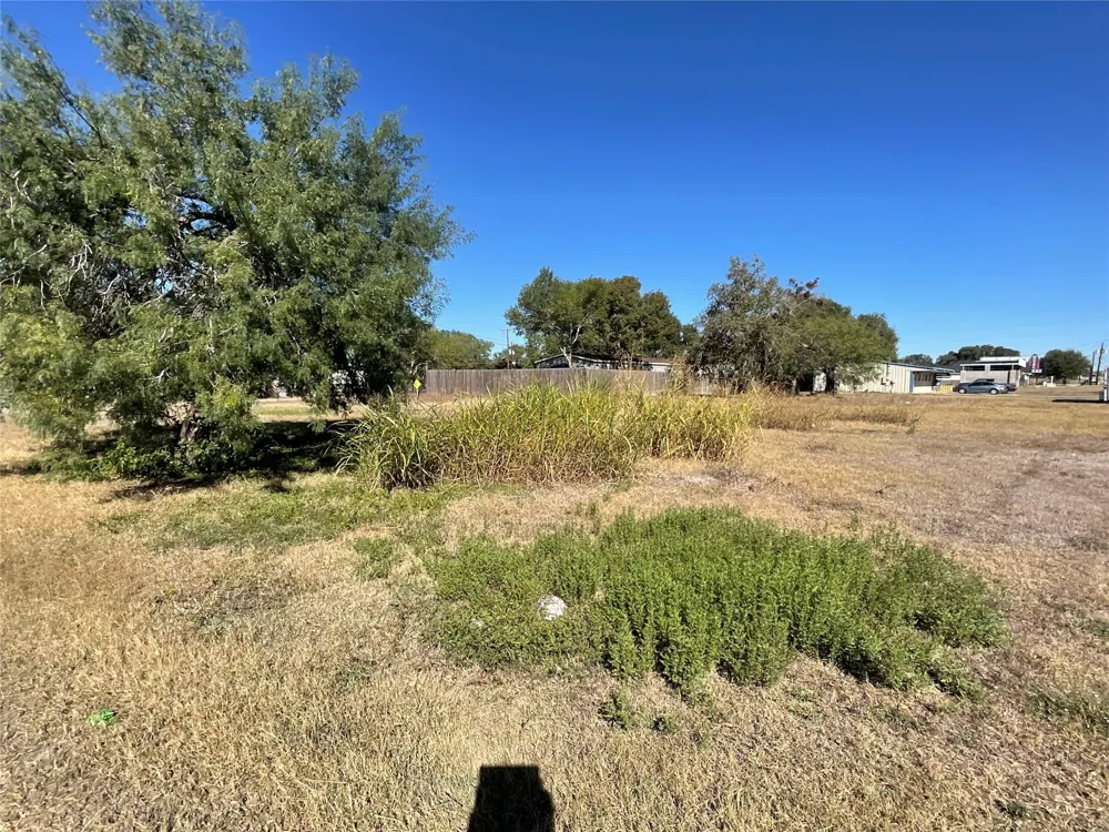 310 Stockdale Street Cuero, TX 77954