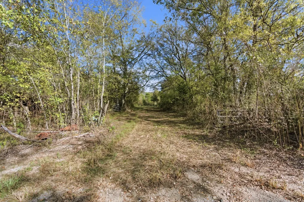 County Rd 204 Plantersville, TX 77363