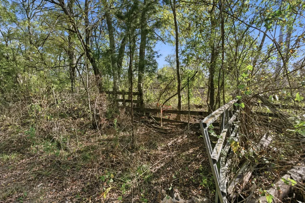 County Rd 204 Plantersville, TX 77363