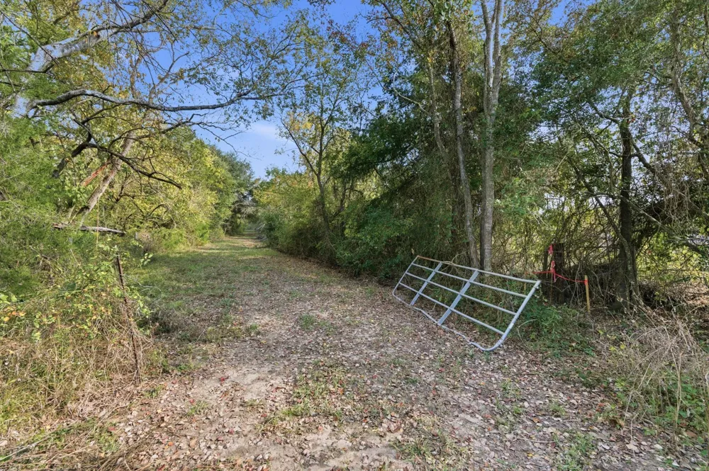 County Rd 204 Plantersville, TX 77363