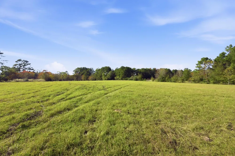 County Rd 204 Plantersville, TX 77363