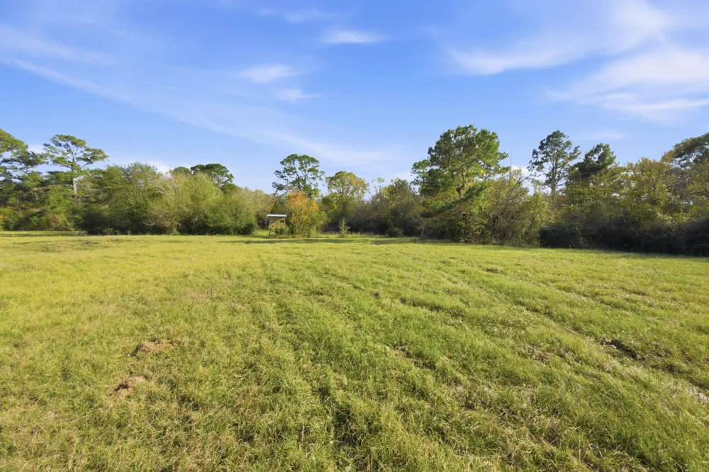 County Rd 204 Plantersville, TX 77363