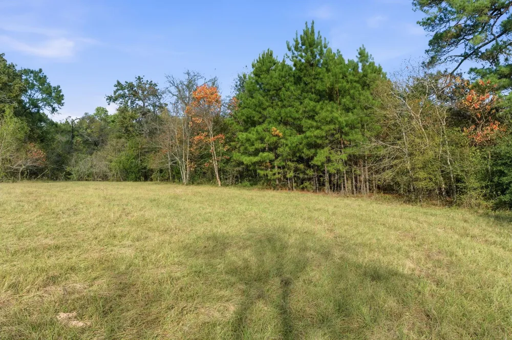 County Rd 204 Plantersville, TX 77363