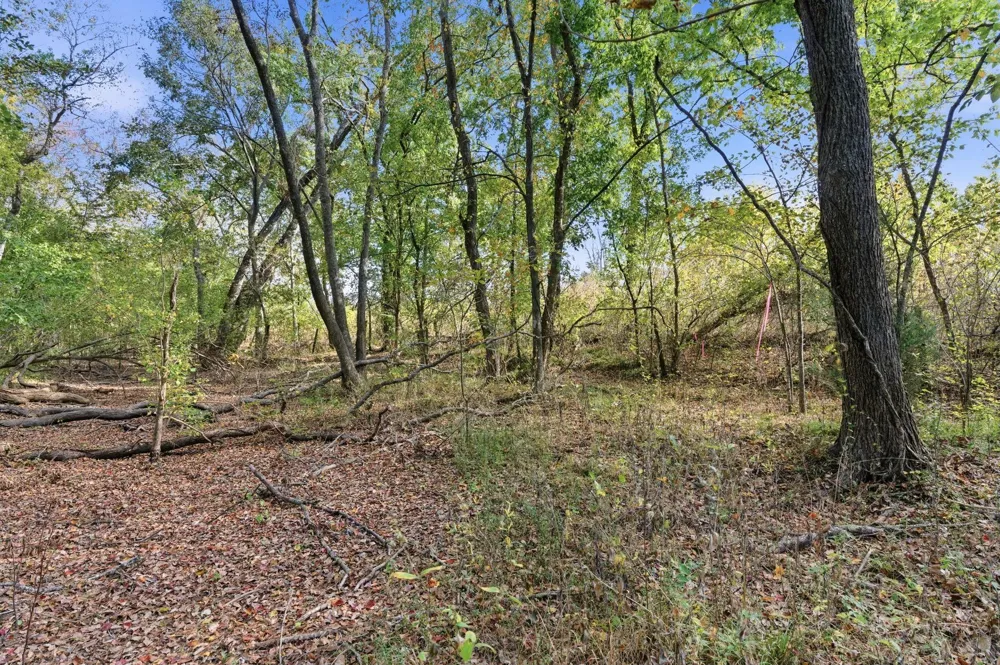 County Rd 204 Plantersville, TX 77363