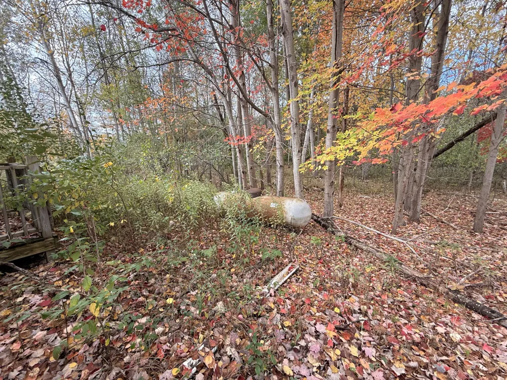 543 Dennis Road Amber Township, MI 49431