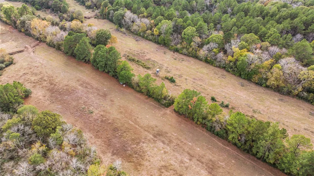 Fm 2445 Navasota, TX 77868