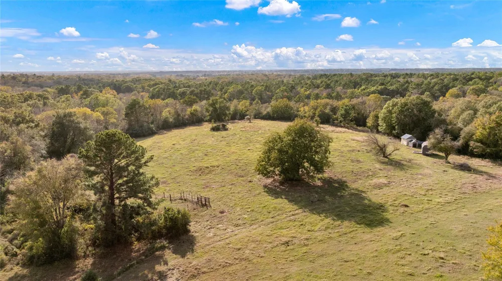 Fm 2445 Navasota, TX 77868