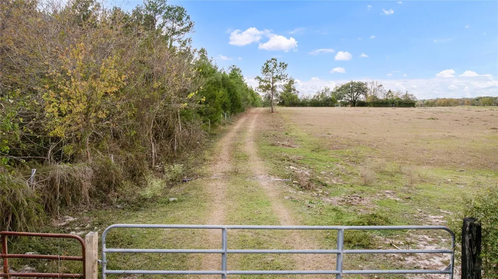 Fm 2445 Navasota, TX 77868
