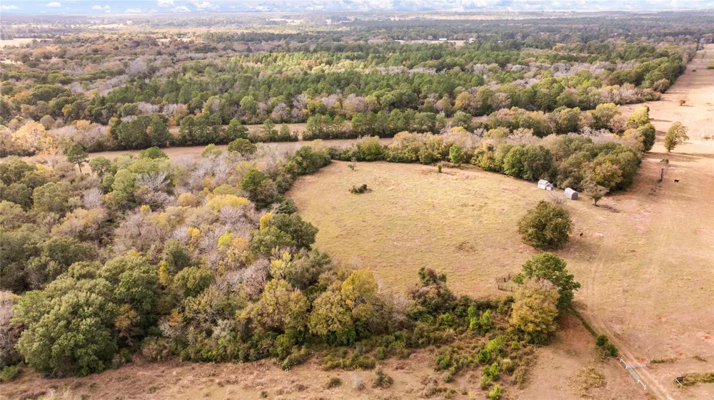 Fm 2445 Navasota, TX 77868