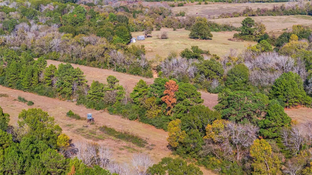 Fm 2445 Navasota, TX 77868