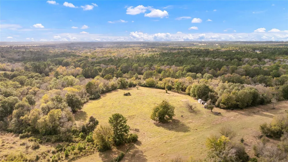 Fm 2445 Navasota, TX 77868
