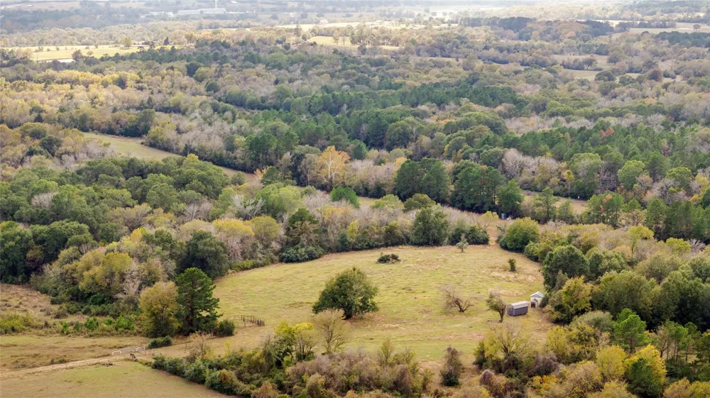 Fm 2445 Navasota, TX 77868