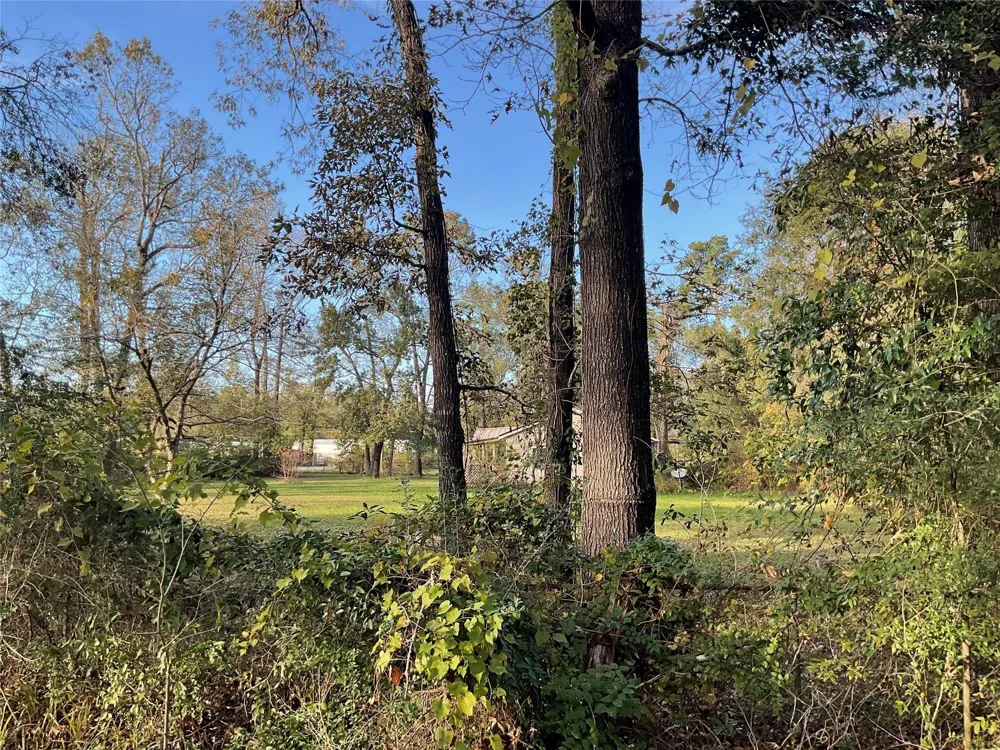 20371 Vick Dr / 22401 Russell Drive New Caney, TX 77357
